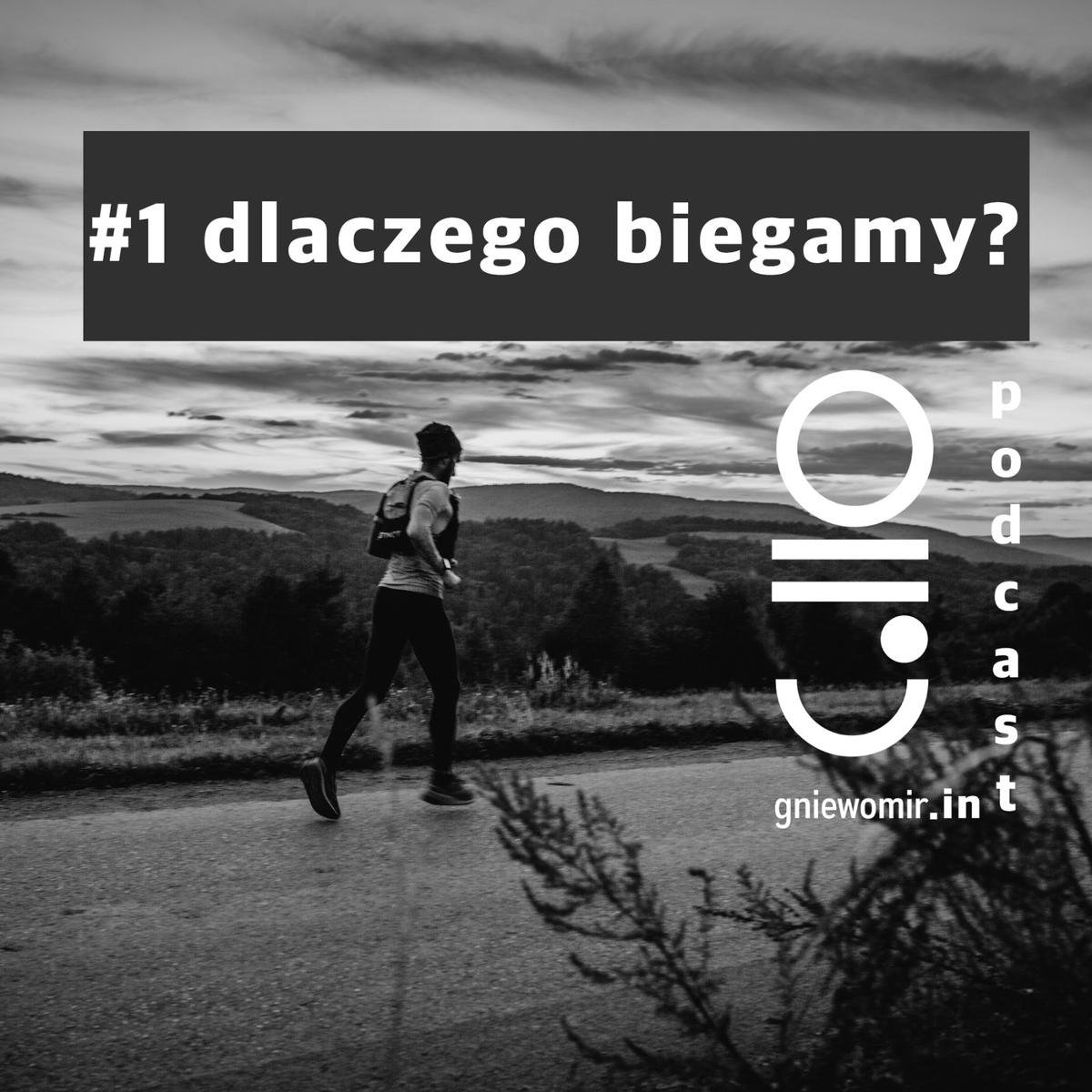 1 Dlaczego Biegamy Czyli Pierwszy Odcinek Podcastu W Poszukiwaniu