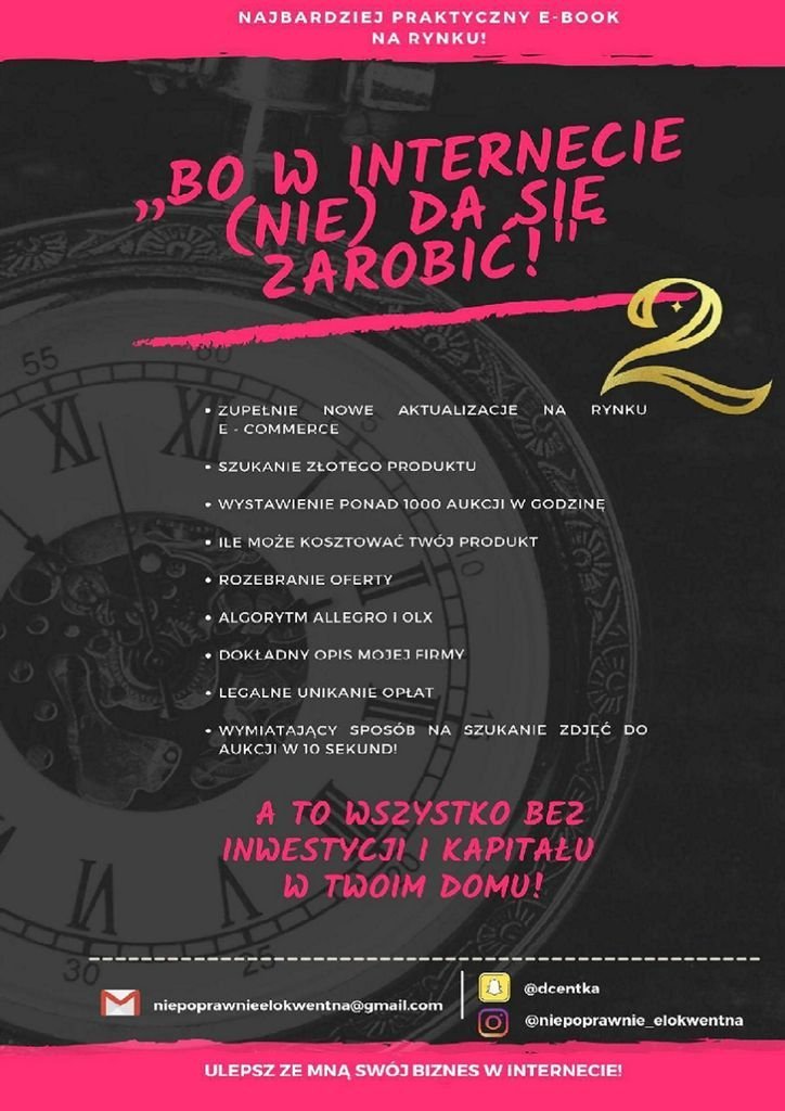 Bo w internecie nie da się zarobić 2 Daria Centka Ebook Sklep