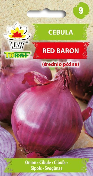 Cebula RED BARON śr wczesna czerwona NEW Allium cepa L Toraf