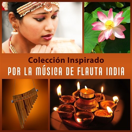 Colección Inspirado por la Música de Flauta India Treinta Zen