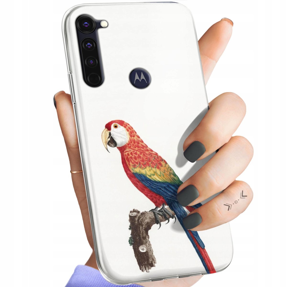 Etui Do Motorola Moto G Pro Wzory Ptaki Ptak Papuga Koliber Obudowa