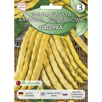 Fasola Zwykła Karłowa Żółtostrąkowa Galopka Strąk Spłaszczony 25G