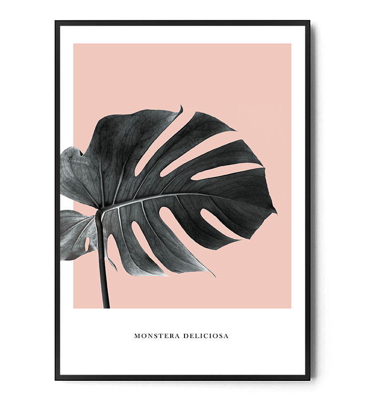 Fox Art Studio Plakat Monstera Deliciosa Wymiary X Cm Fox Art