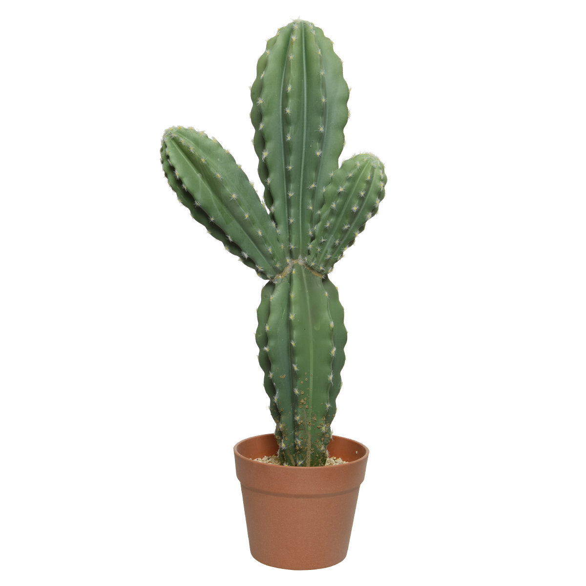 Kaktus Cactus W Doniczce Sztuczny X Cm Kaemingk Sklep Empik