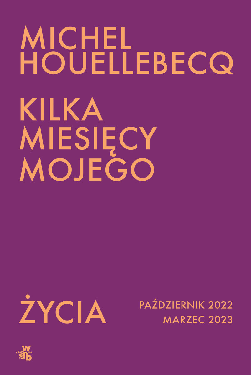 Kilka Miesi Cy Mojego Ycia Houellebecq Michel Ksi Ka W Empik