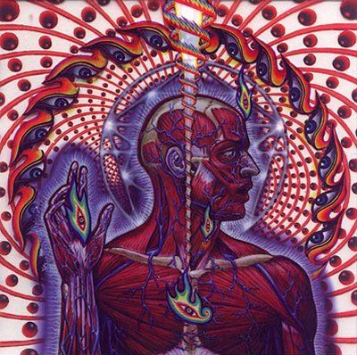 Lateralus - Tool za 64,49 zł | Muzyka empik.com