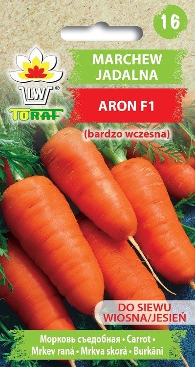 Marchew Aron F Wczesna Kr Tkie Owalne Grube Korzenie Daucus Carota