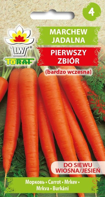 Marchew PIERWSZY ZBIÓR b wczesna Daucus carota L Toraf Sklep