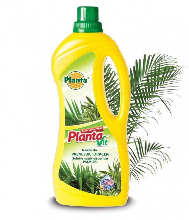 Naw Z Do Palm Juk I Dracen L Planta Planta Sklep Empik