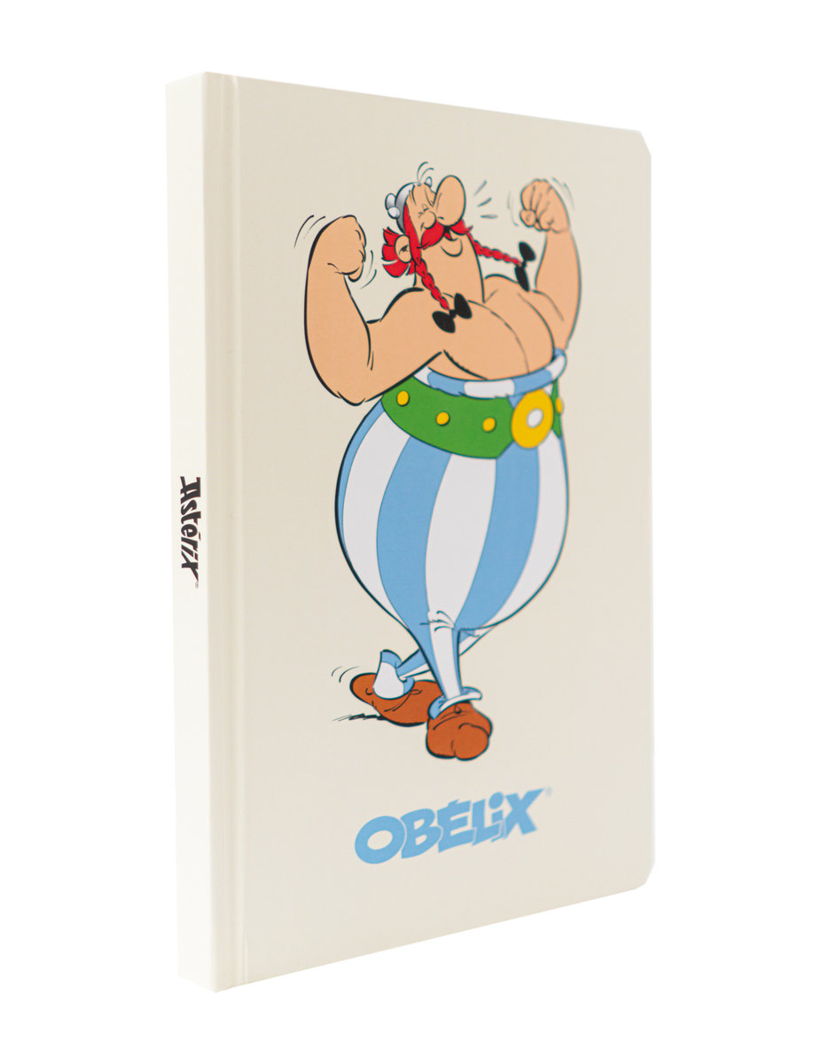 Notatnik Asterix I Obelix Premium Grupo Erik Sklep EMPIK