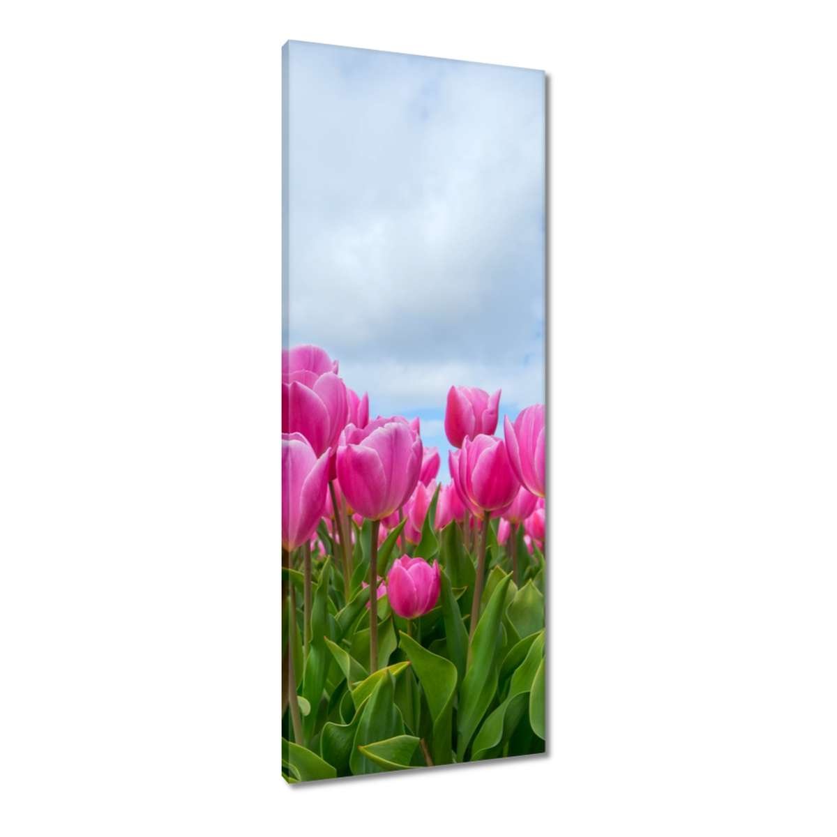 Obraz 40x100cm Tulipany Kwiaty Kwiatki ZeSmakiem Sklep EMPIK