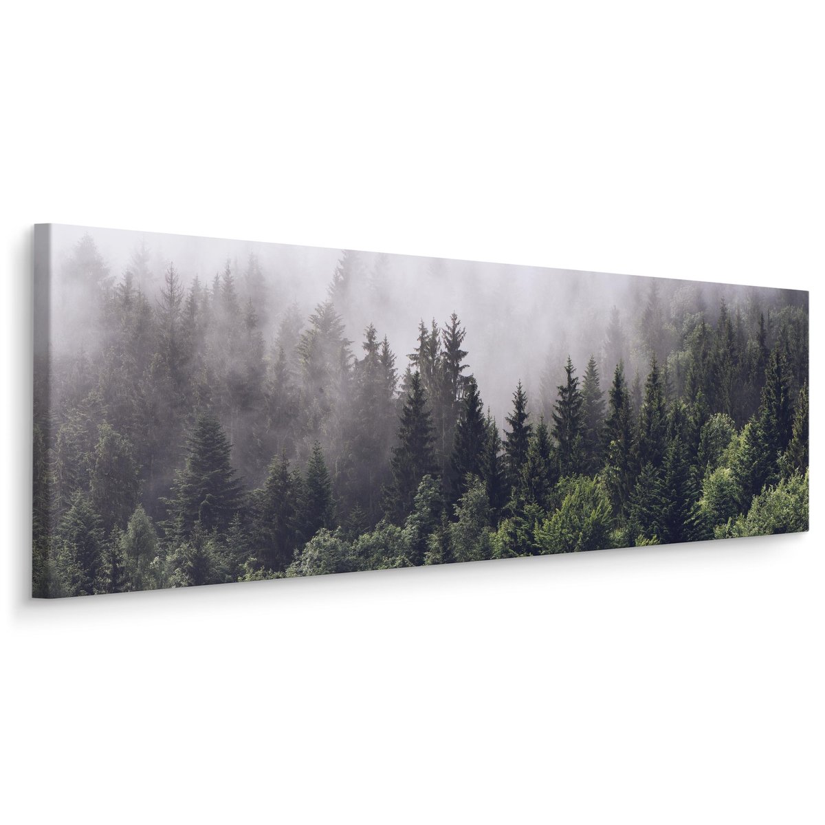 Obraz Panoramiczny LAS We Mgle Krajobraz Natura Drzewa 145cm X 45cm