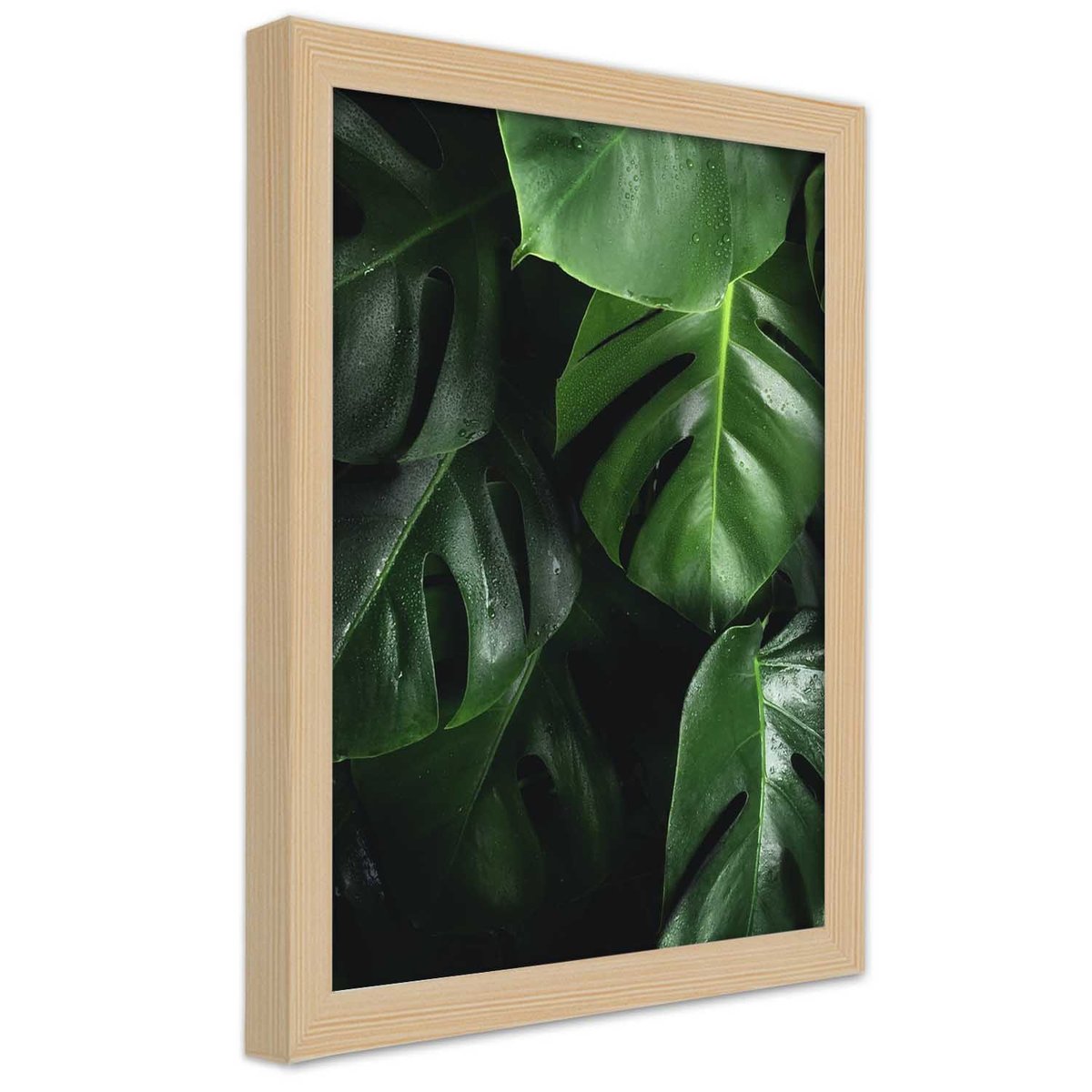 Obraz w ramie naturalnej FEEBY Monstera Liście Natura 30x45 Feeby