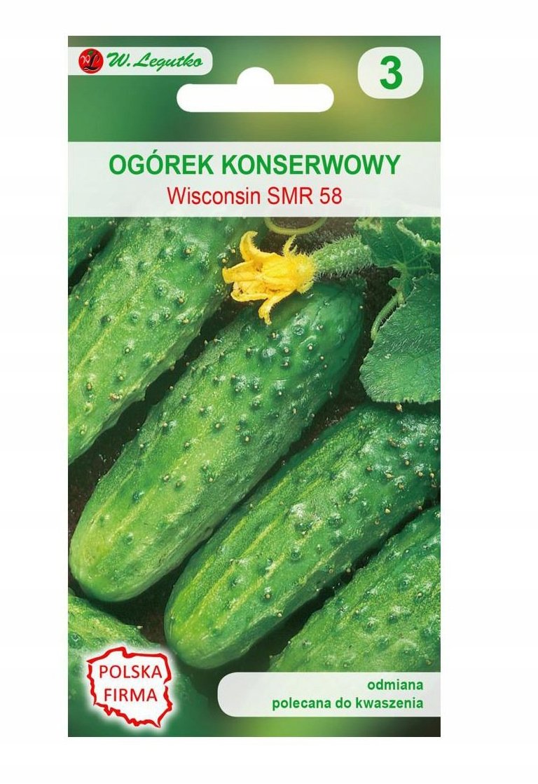 Ogórek Wisconsin nasiona gruntowy konserwowy 5g LEGUTKO Sklep EMPIK