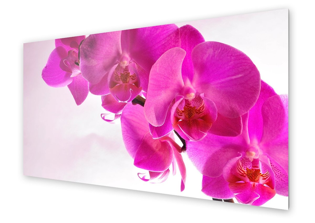 Panel Kuchenny Homeprint R Owy Kwiat Orchidei X Cm Homeprint