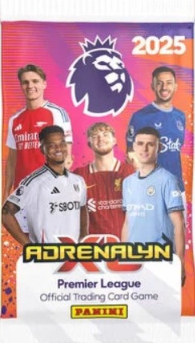 Panini Adrenalyn Premier League Karty Pi Karskie Panini Sklep