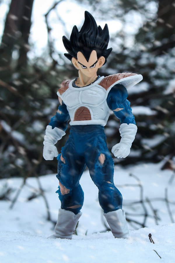 Plakat Dragon Ball Z Vegeta 30x40 Cm Inna Marka Sklep EMPIK