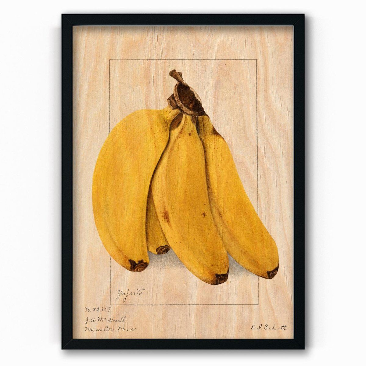 Plakat Na Drewnie Bananas By Ellen Isham Schutt X Czarna Ramka