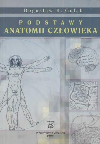 Podstawy anatomii człowieka Gołąb Bogusław K Książka w Empik