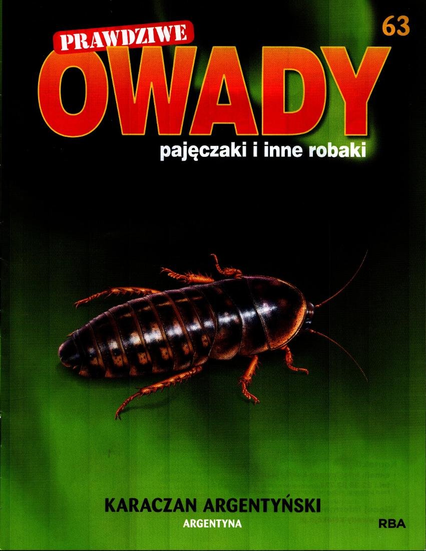 Prawdziwe Owady Paj Czaki I Inne Robaki Nr Burda Media Polska Sp