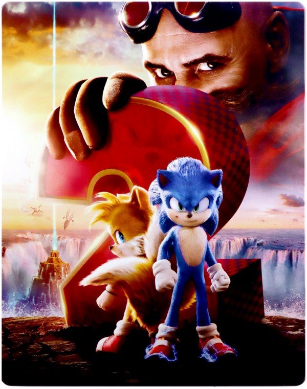 Sonic Szybki Jak B Yskawica Fowler Jeff Filmy Sklep Empik