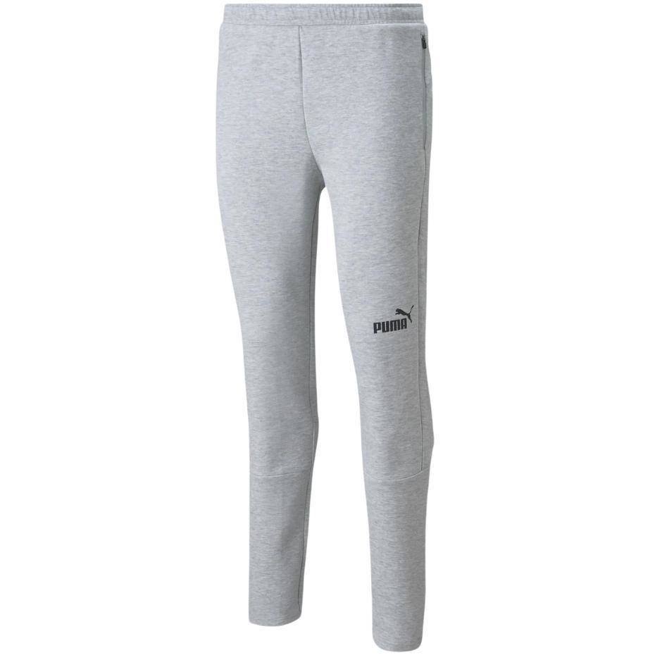 Spodnie Męskie Puma Teamfinal Casuals Pants Szare 657386 33 S Puma