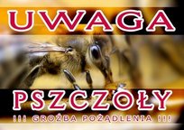 Rednia Tablica Ostrzegawcza Wz R F Bee Honey Sklep Empik