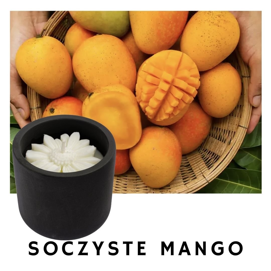 Swieca Zapachowa Sojowa W Betonowym Pojemniku Soczyste Mango 160 Ml