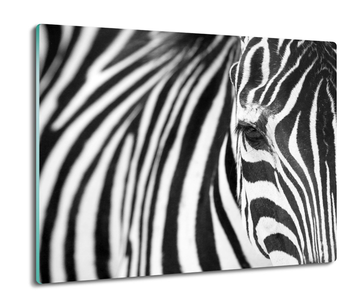 Szklana Os Ona Do Kuchenki Zebra G Owa Pasy X Artprintcave