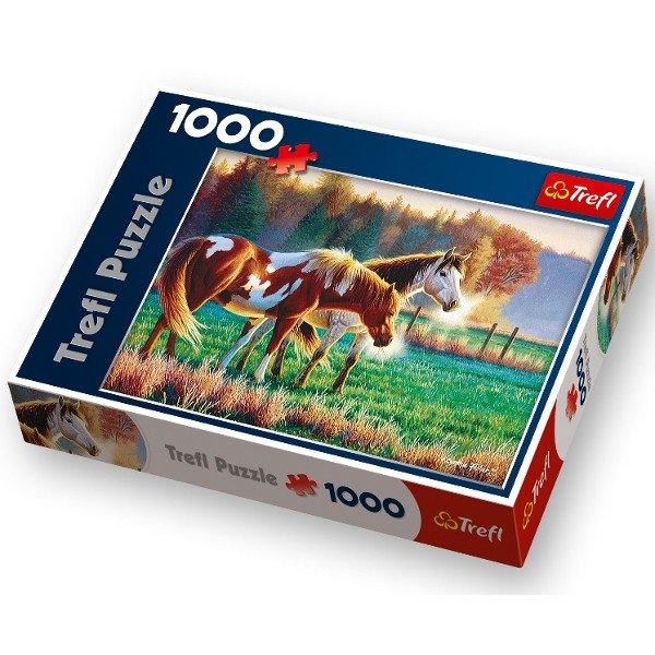 Trefl puzzle Mroźny Poranek 1000 el Trefl Sklep EMPIK