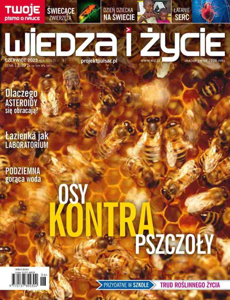 Wiedza i Życie nr 6 2023 Opracowanie zbiorowe Ebook Sklep EMPIK