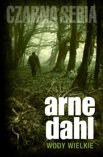 Wody wielkie Arne Dahl
