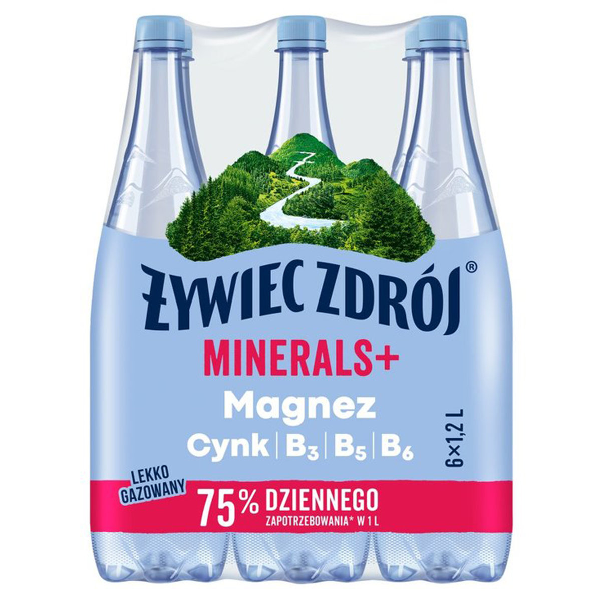 Żywiec Zdrój Minerals Napój lekko gazowany 1 2 l x 6 sztuk Żywiec