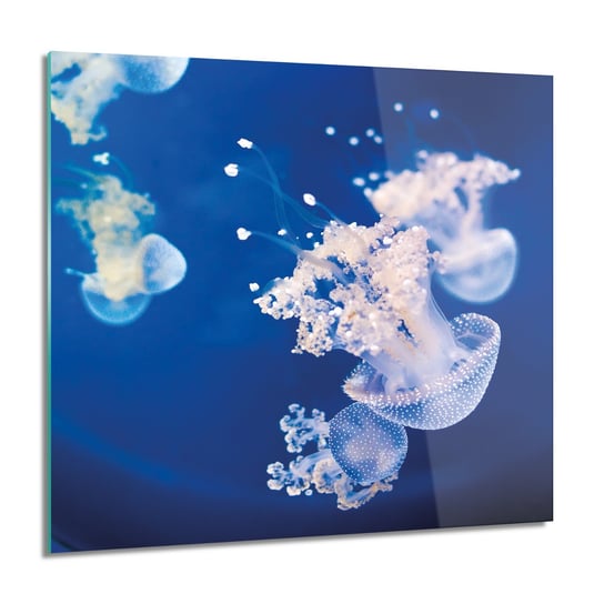 Artprintcave Meduzy Woda Ocean Do Azienki Obraz Na Szkle X Cm