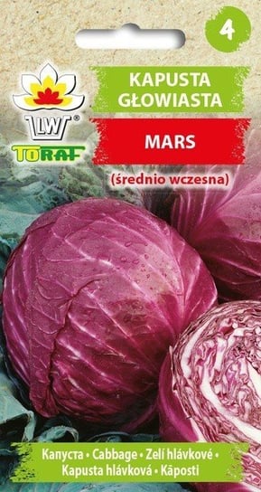 Kapusta głowiasta czerwona MARS śr wczesna Brassica oleracea L var