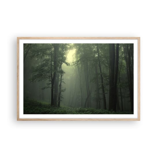 Obraz Plakat Zanim się obudzi 91x61cm Krajobraz Las Natura