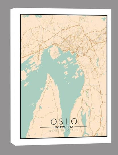 Oslo Mapa Kolorowa Obraz Na P Tnie X Cm Inny Producent Sklep