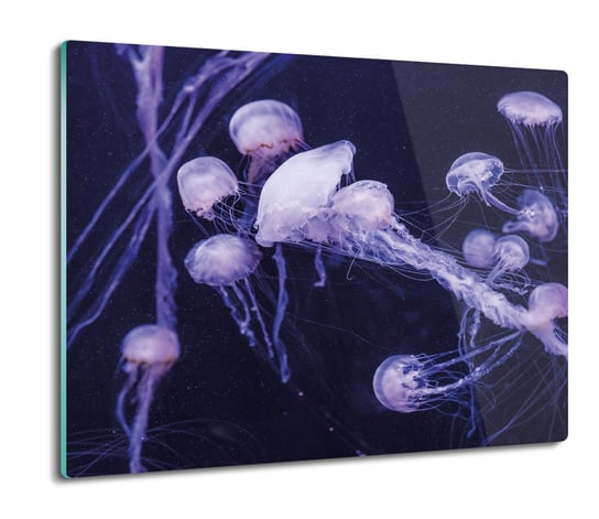 Os Ona P Yty Kuchennej Meduzy Ocean Morze X Artprintcave