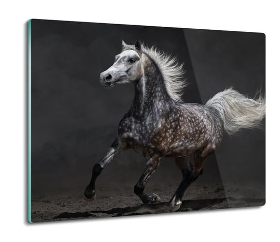 Os Ona Splashback Ze Szk A Ko Galop Noc X Artprintcave