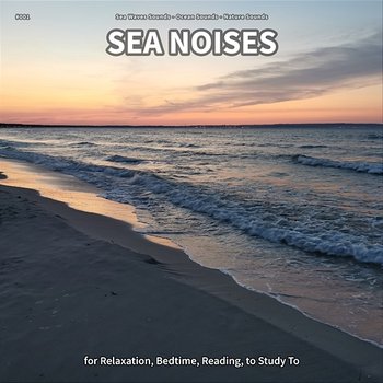 #001 Sea Noises for Relaxation, Bedtime, Reading, to Study To - Sea Waves Sounds, Ocean Sounds, Nature Sounds