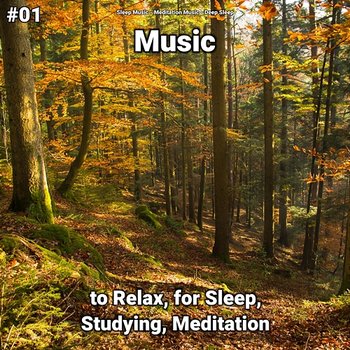#01 Music to Relax, for Sleep, Studying, Meditation - Sleep Music, Deep Sleep, Meditation Music