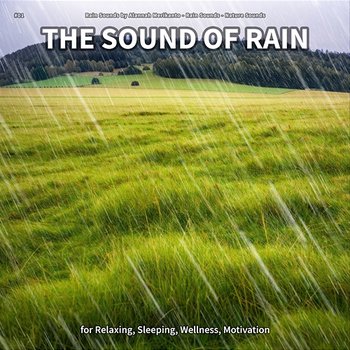 #01 The Sound of Rain for Relaxing, Sleeping, Wellness, Motivation - Rain Sounds by Alannah Merikanto, Rain Sounds, Nature Sounds
