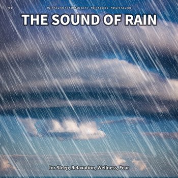 #01 The Sound of Rain for Sleep, Relaxation, Wellness, Fear - Rain Sounds to Fall Asleep To, Rain Sounds, Nature Sounds