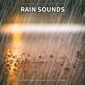 #1 Rain Sounds for Night Sleep, Relaxing, Wellness, the Body - Rain Sounds by Peter Croquetaigne, Rain Sounds, Nature Sounds