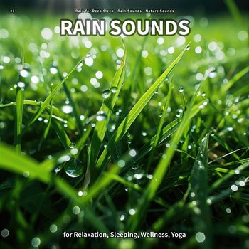 #1 Rain Sounds for Relaxation, Sleeping, Wellness, Yoga - Rain for Deep Sleep, Rain Sounds, Nature Sounds