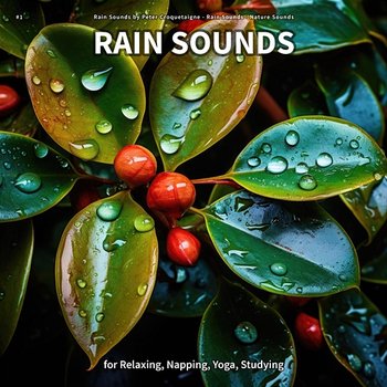 #1 Rain Sounds for Relaxing, Napping, Yoga, Studying - Rain Sounds by Peter Croquetaigne, Rain Sounds, Nature Sounds