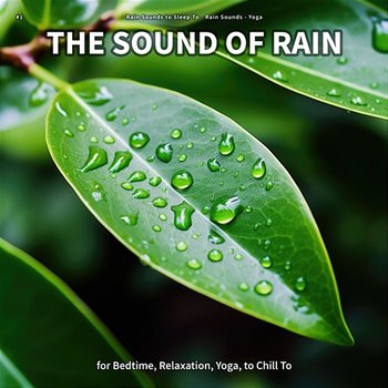 #1 The Sound of Rain for Bedtime, Relaxation, Yoga, to Chill To - Rain Sounds to Sleep To, Rain Sounds, Yoga