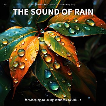 #1 The Sound of Rain for Sleeping, Relaxing, Wellness, to Chill To - Rain Sounds by Keiki Avila, Rain Sounds, Deep Sleep