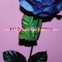 10.000 Leaves Wild Chamber Trio