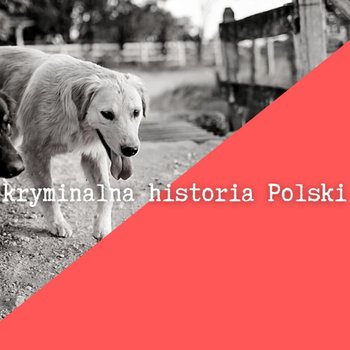 #10 Antoni Gap kontra psi detektywi - Bugaj 1936 - Zbrodnie prowincjonalne - podcast - Wajszczyk Agnieszka